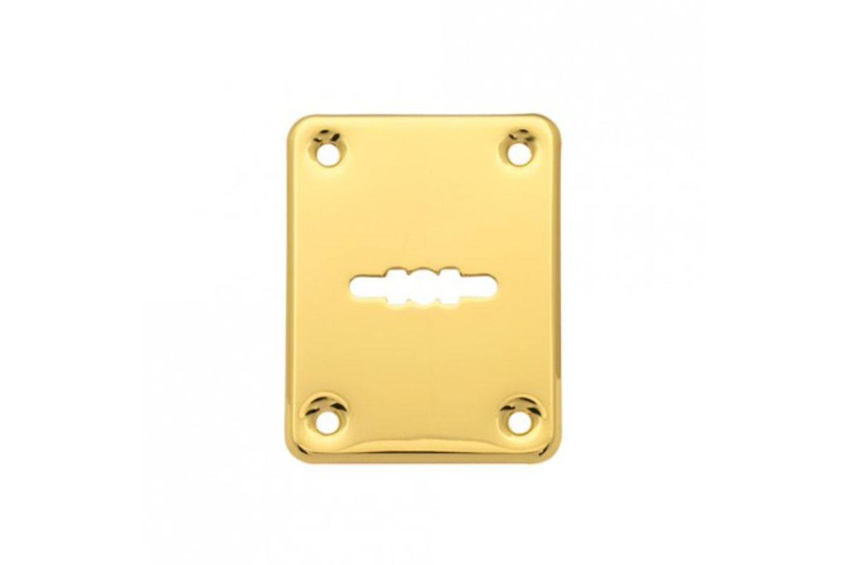 Накладка декоративная Apecs DP-S-01-G