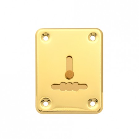 Накладка декоративная Apecs DP-S-01-G-shutter